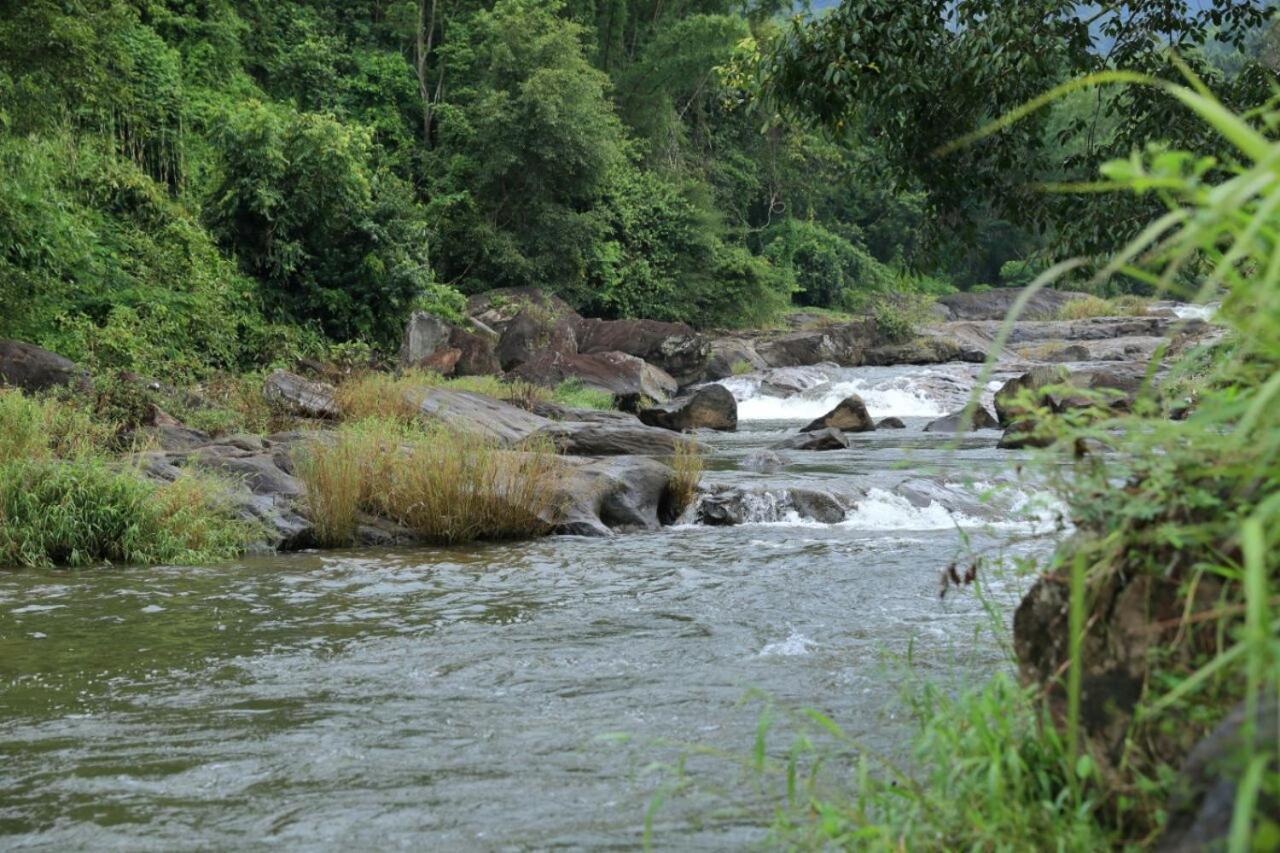 Ayursakthi Riverdale Munnar Exterior photo