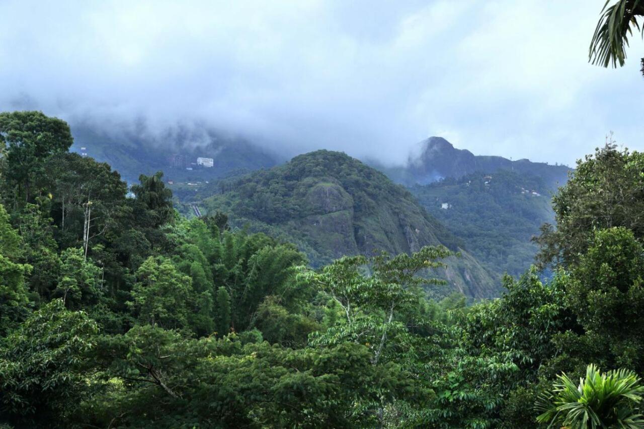 Ayursakthi Riverdale Munnar Exterior photo