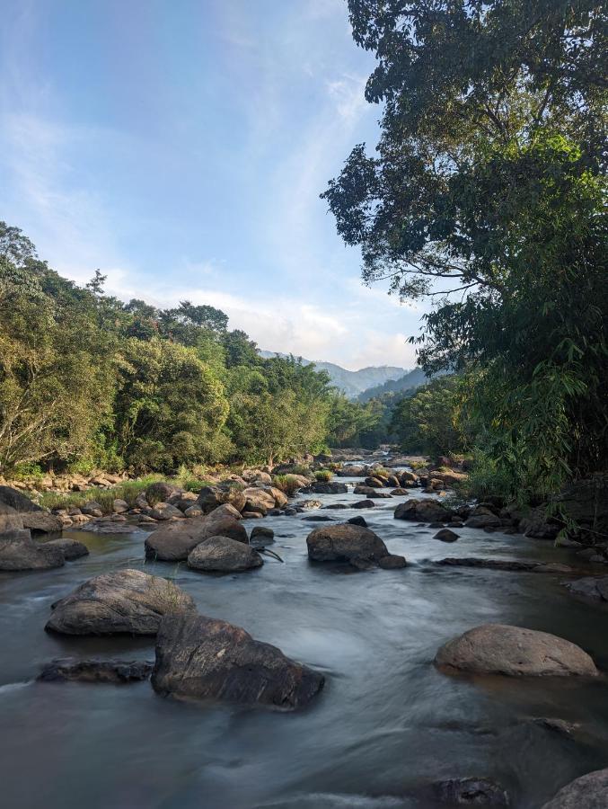 Ayursakthi Riverdale Munnar Exterior photo