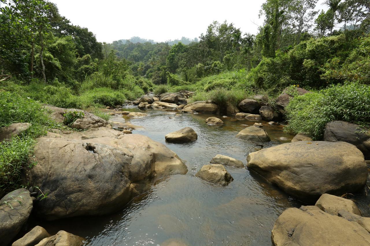 Ayursakthi Riverdale Munnar Exterior photo