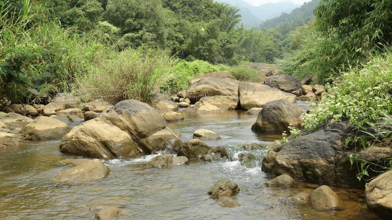 Ayursakthi Riverdale Munnar Exterior photo