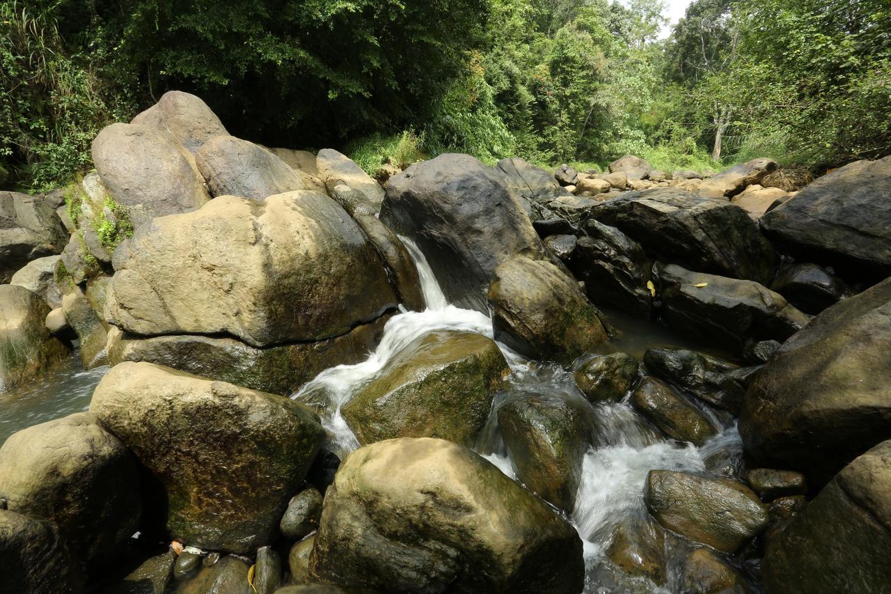 Ayursakthi Riverdale Munnar Exterior photo